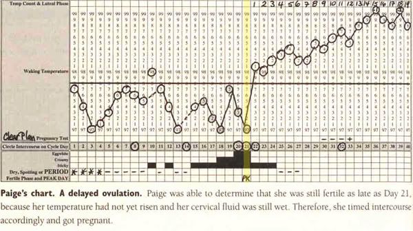 Charting To Avoid Pregnancy
