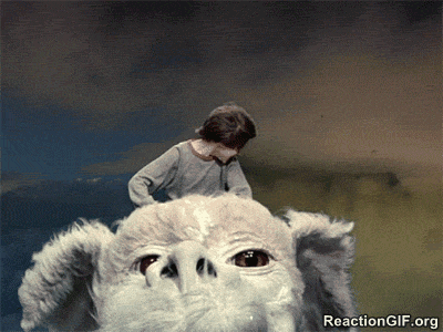 GIF-awesome-charge-elated-epic-Falcor-fly-flying-happy-Neverending-Story-overjoyed-RAD-success-thrill-thrilled-GIF_zpsjwdrz9cg.gif