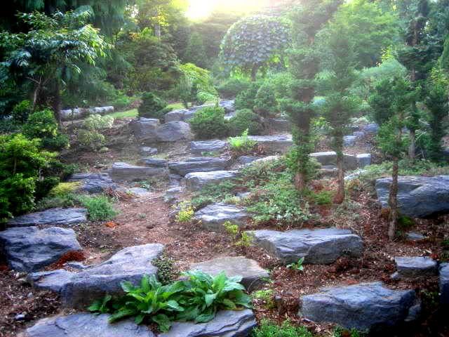 Rock garden photo 2303323230036511179.jpg