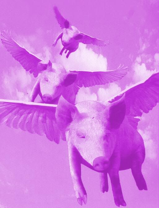 pigscanfly.jpg