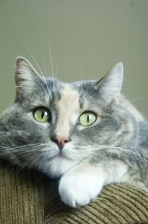RA-portrait.jpg