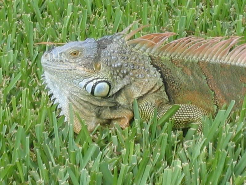 IMG_0640.jpg