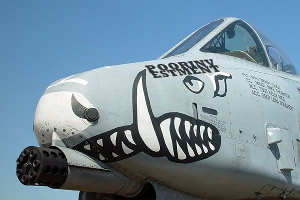 http://i75.photobucket.com/albums/i286/slayer667/a-10-warthog-tank-buster-1api.jpg