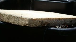 DSC02807.jpg