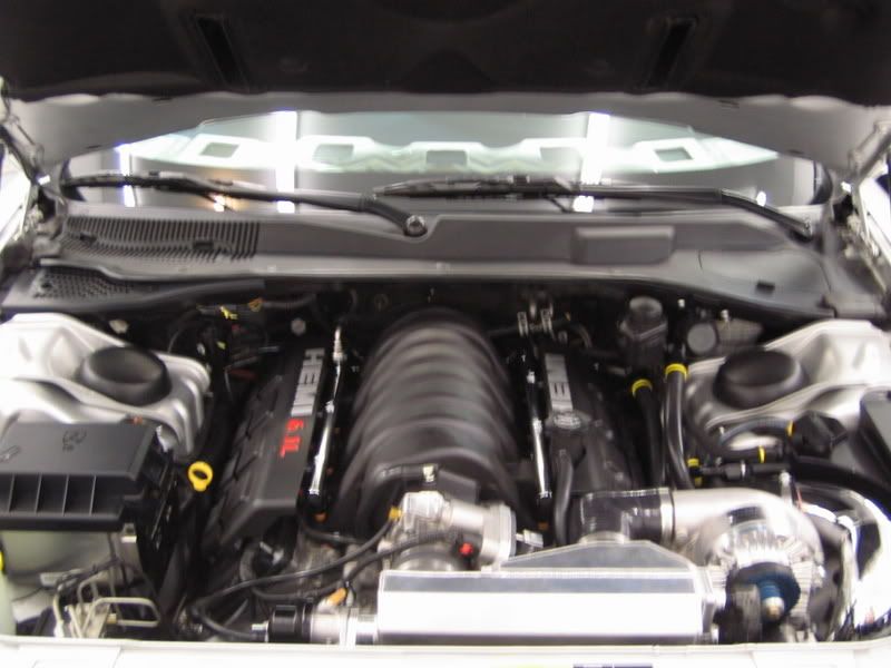 srt-8001.jpg