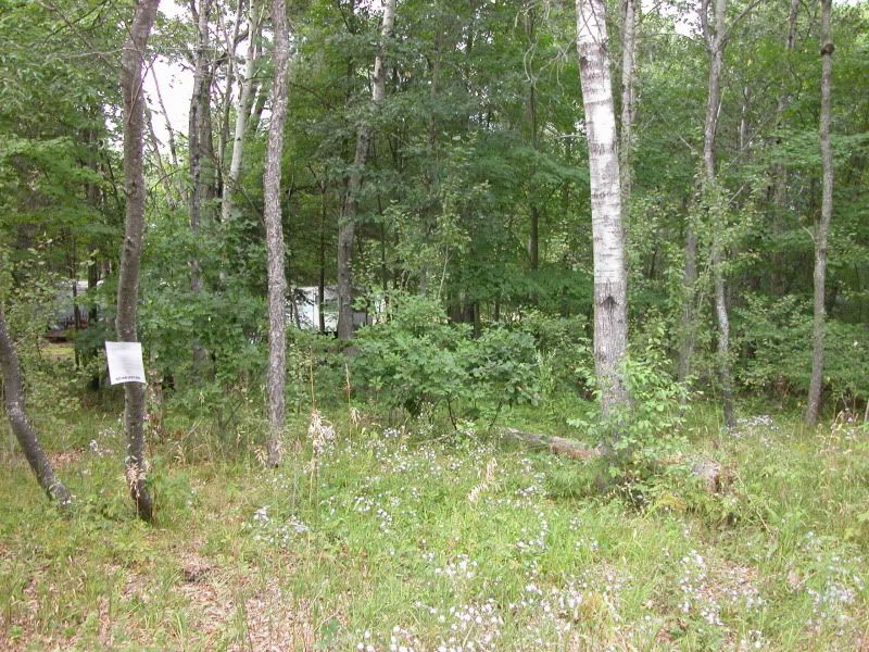 Ogemaw 27