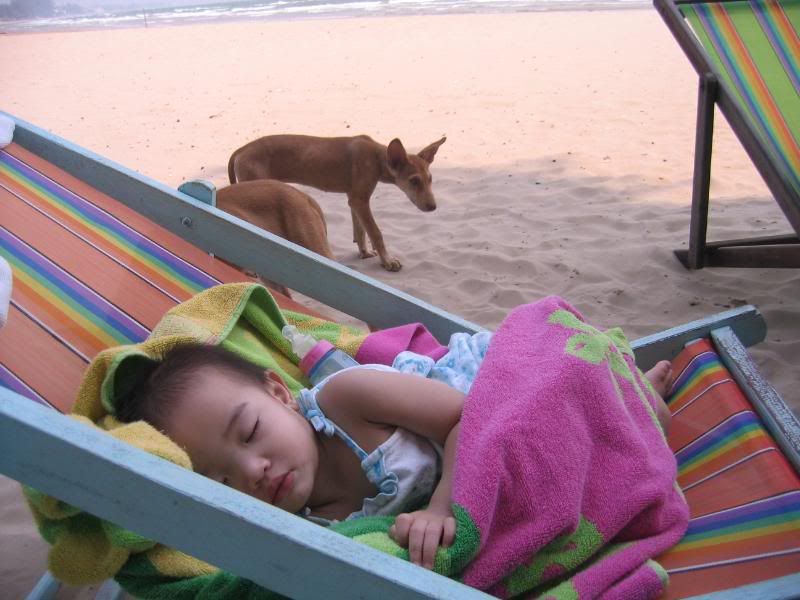 PattawiaBeach21.jpg Beach Pami nap 3 image by uboutsomsi