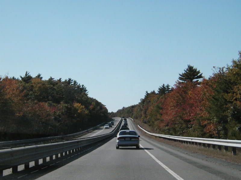 PA110095.jpg