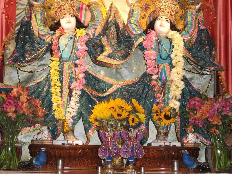 Gour Nitai