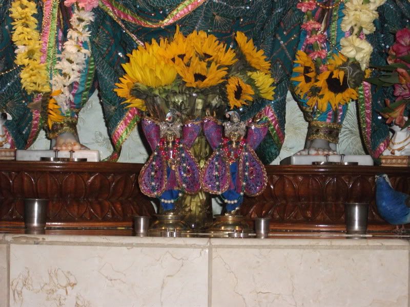 Gour Nitai