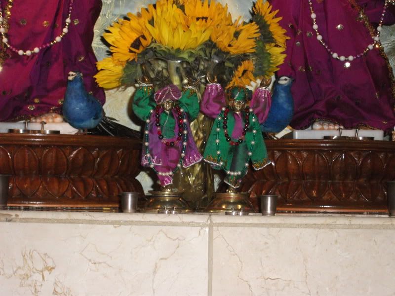 Gour Nitai