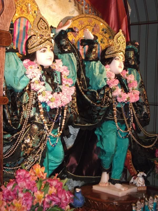 Gour Nitai