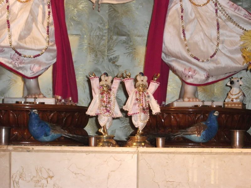 Gour Nitai