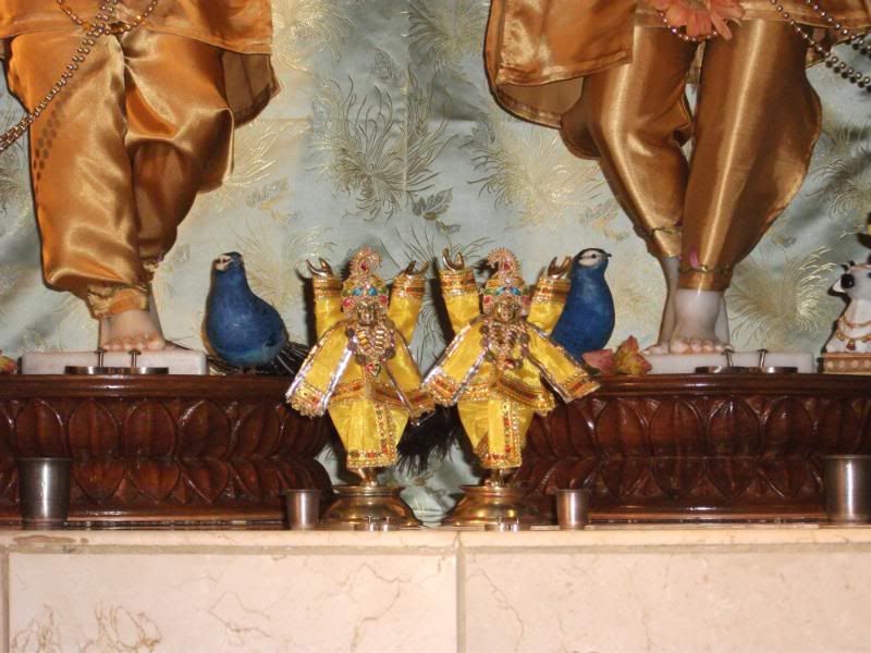 Gour Nitai