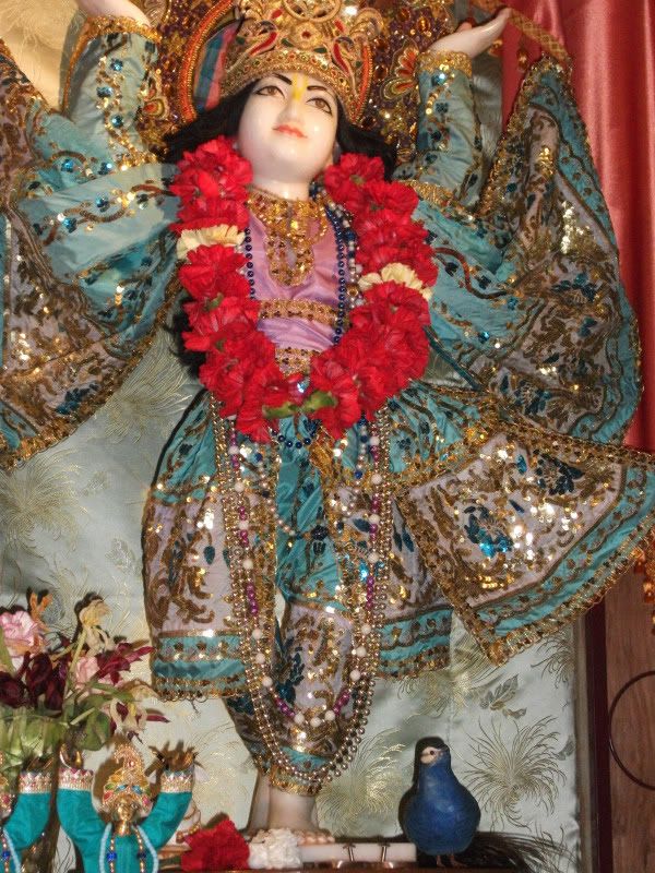 Gour Nitai