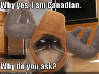 Canada Cat Pictures, Images and Photos