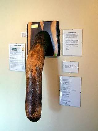 show me a elephant penis