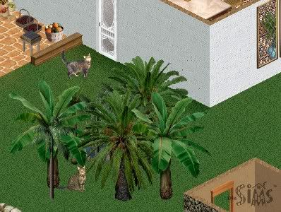 thankappan_11_0067.jpg