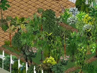 thankappan_11_0070.jpg