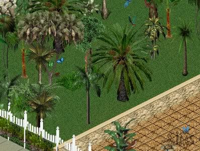 thankappan_11_0073.jpg