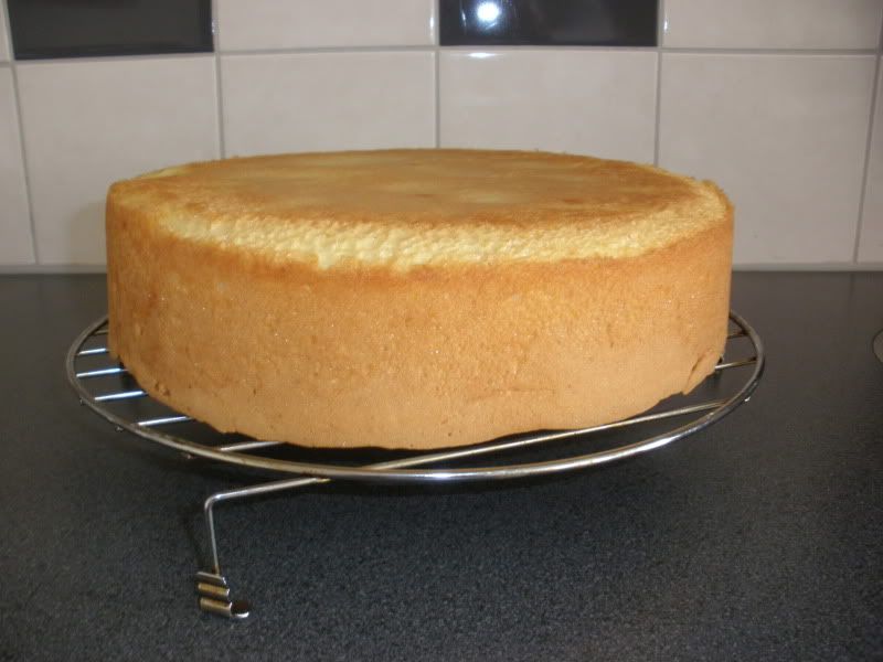 http://i75.photobucket.com/albums/i295/brabertje/taart/P3111468.jpg
