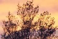 Pôr do Sol