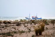 Paisagem