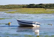 Barco
