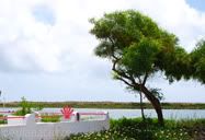 Paisagem