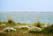 paisagem