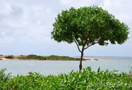 Paisagem