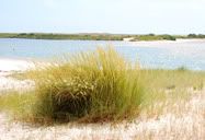 Paisagem