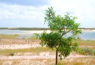 Paisagem