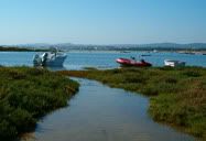 Barcos