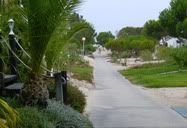 Pelos caminhos da ilha