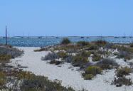 Dunas
