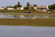 Recovo
