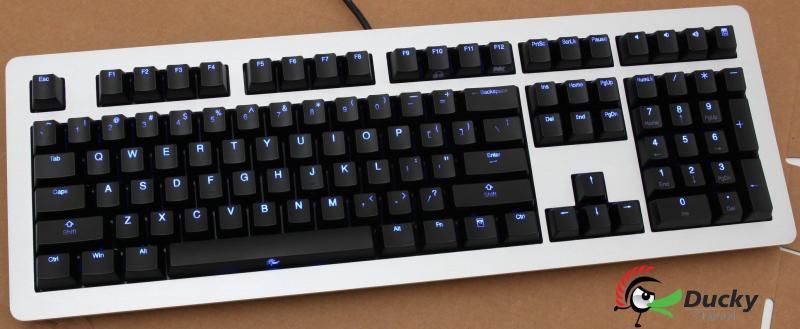 UpdatedDuckyteasinganewkeyboard.jpg