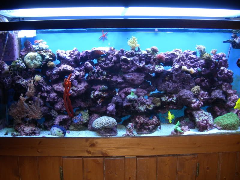 DSCN0588.jpg
