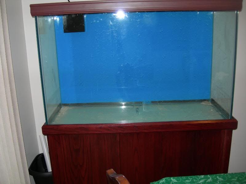 DSCN1381.jpg