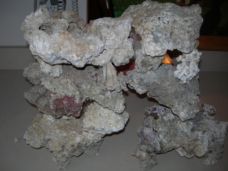 DSCN1382.jpg