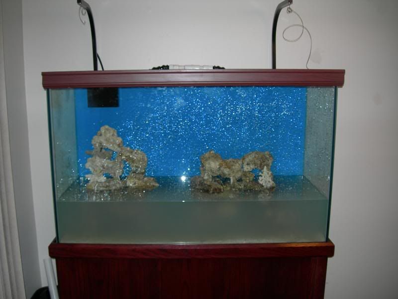DSCN1391.jpg