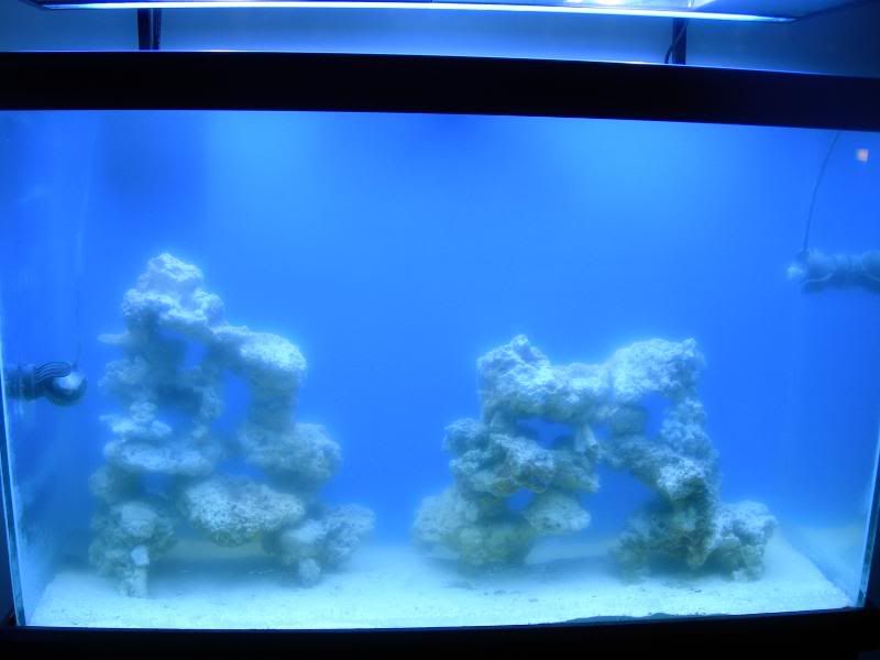 DSCN1396.jpg