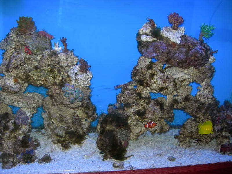 DSCN1424.jpg