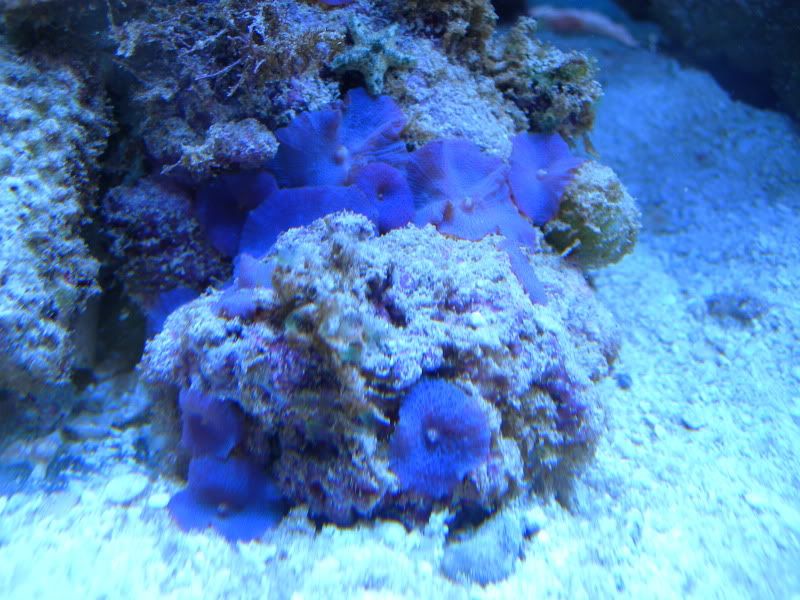 DSCN1456.jpg