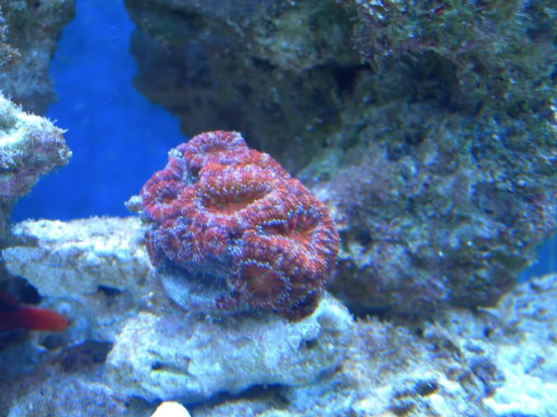 DSCN1464.jpg