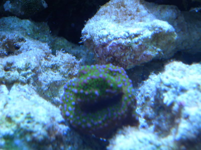 DSCN1465.jpg