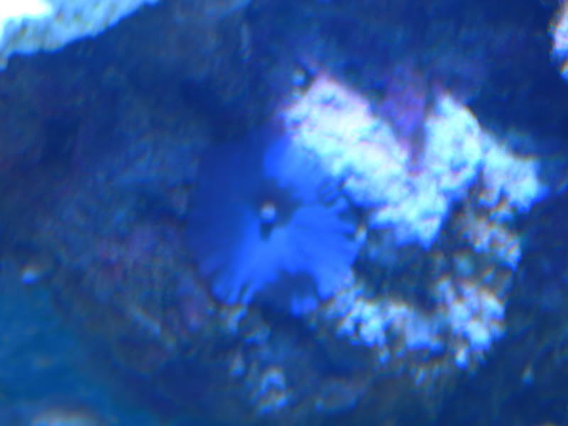 DSCN1466.jpg