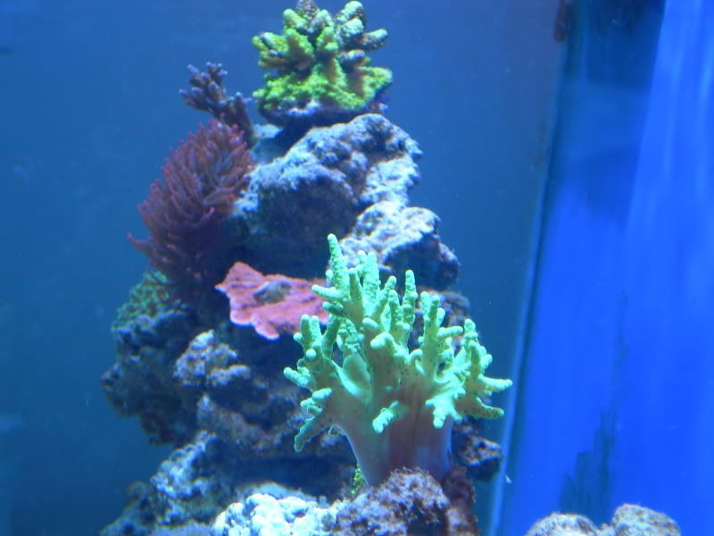 DSCN1468.jpg