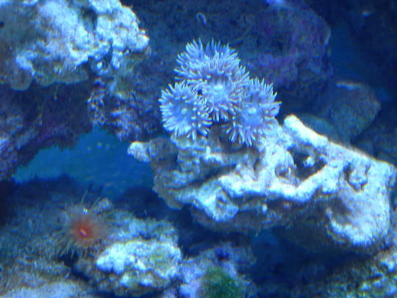 DSCN1471.jpg